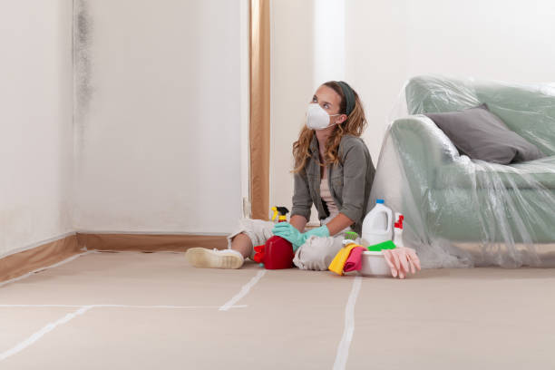 Reliable Mold Remediation contractor in Roseland, NJ by WQB Mold Removal